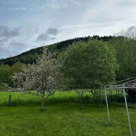 Appart Spacieux Calme 1 A 7 Pers. Granges-sur-Vologne